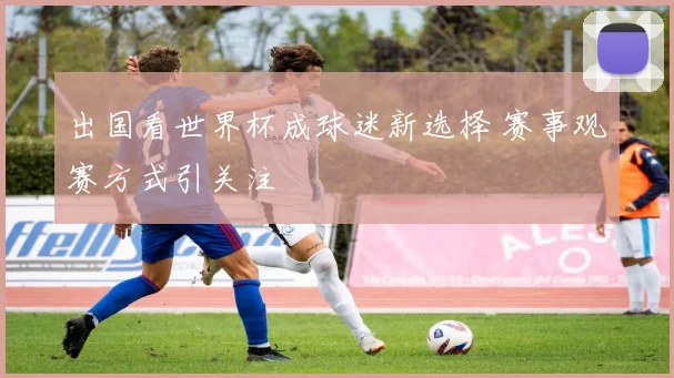 出国看世界杯成球迷新选择 赛事观赛方式引关注